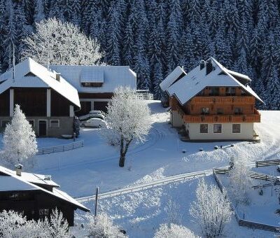 bauernhof-hoferbauer-bad-kleinkirchheim-2x32d